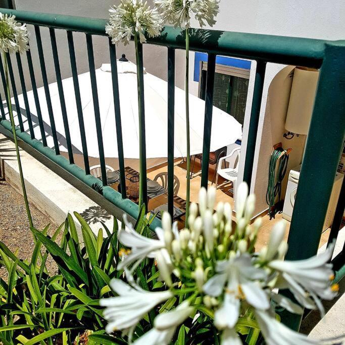 Apartamento Encantador A 100M Da Praia Carvoeiro  Luaran gambar