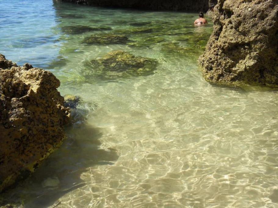 Apartamento Encantador A 100M Da Praia Carvoeiro  Luaran gambar